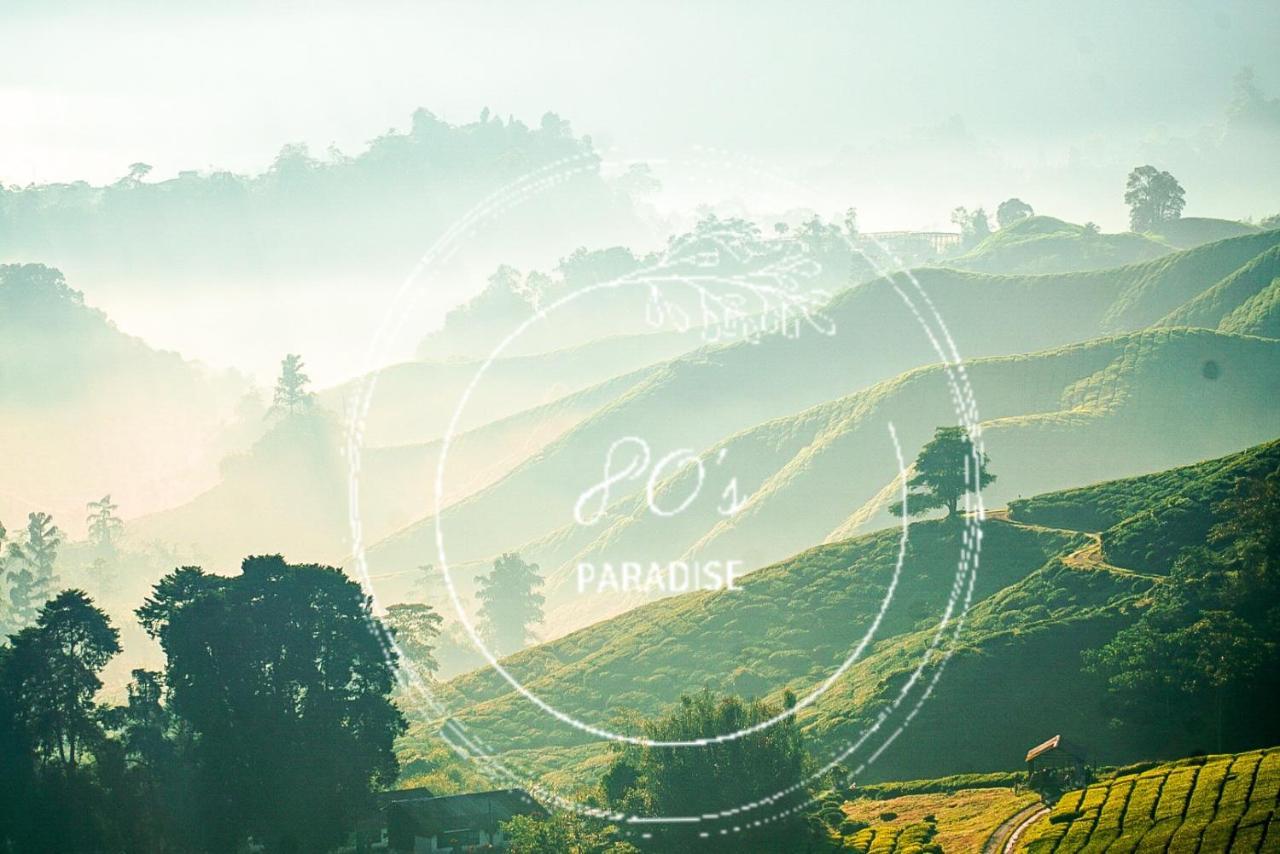 80'S Paradise Tanah Rata Exterior photo